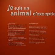 Musée de l’Homme Paris «  Aux Frontières de l’Humain »