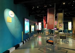 Maison de la libellule